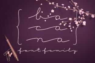 Discover the Elegance of Bacana: A Modern Display Font for Creative Professionals