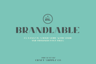 Nancy: A Versatile Serif Font for Creative Projects